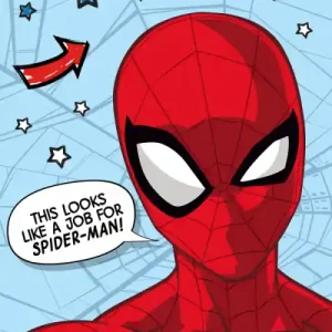 Jen Po Omezenou Doba Dětská deka mikroplyš Spiderman 100x150 cm