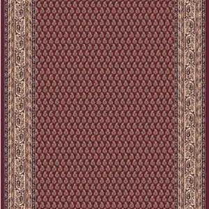 Cenově Výhodný Kusový koberec Solid 03CPC - 240 x 340 cm