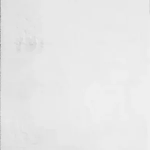 Akční Cena Kusový koberec Cozy 1453 white - 160 x 220 cm