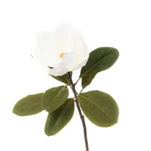 Kup Teď Umělý květ HIYA bílá magnolie 817170