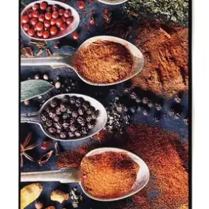Koberec do kuchyně SPICY SET vícebarevný Akce