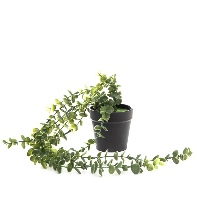 Akční Nabídka Umělá rostlina EUCALYPTUS v květináči 842486 50 cm