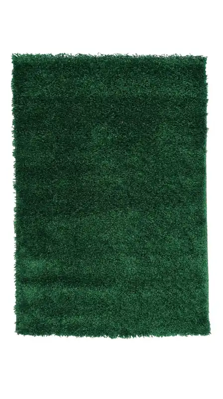 Expresní Doručení Kusový koberec Life Shaggy 1500 dark green