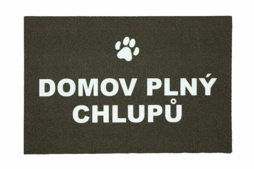 Top Prodej Rohožka Domov plný chlupů 40x60 cm